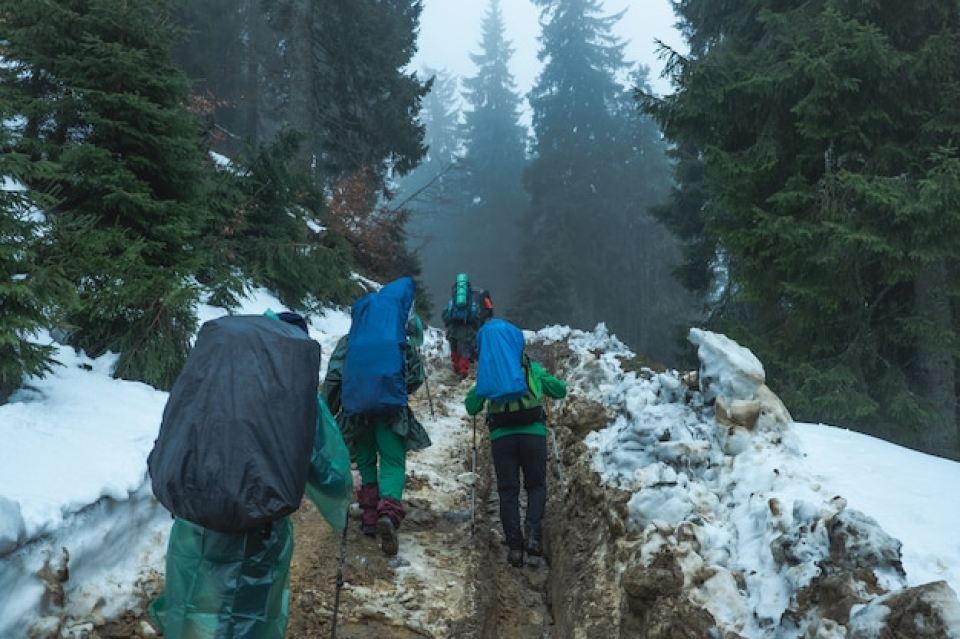 Himalayan Forest Trek & Snow Trails