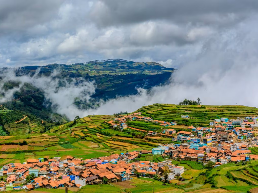 Ooty