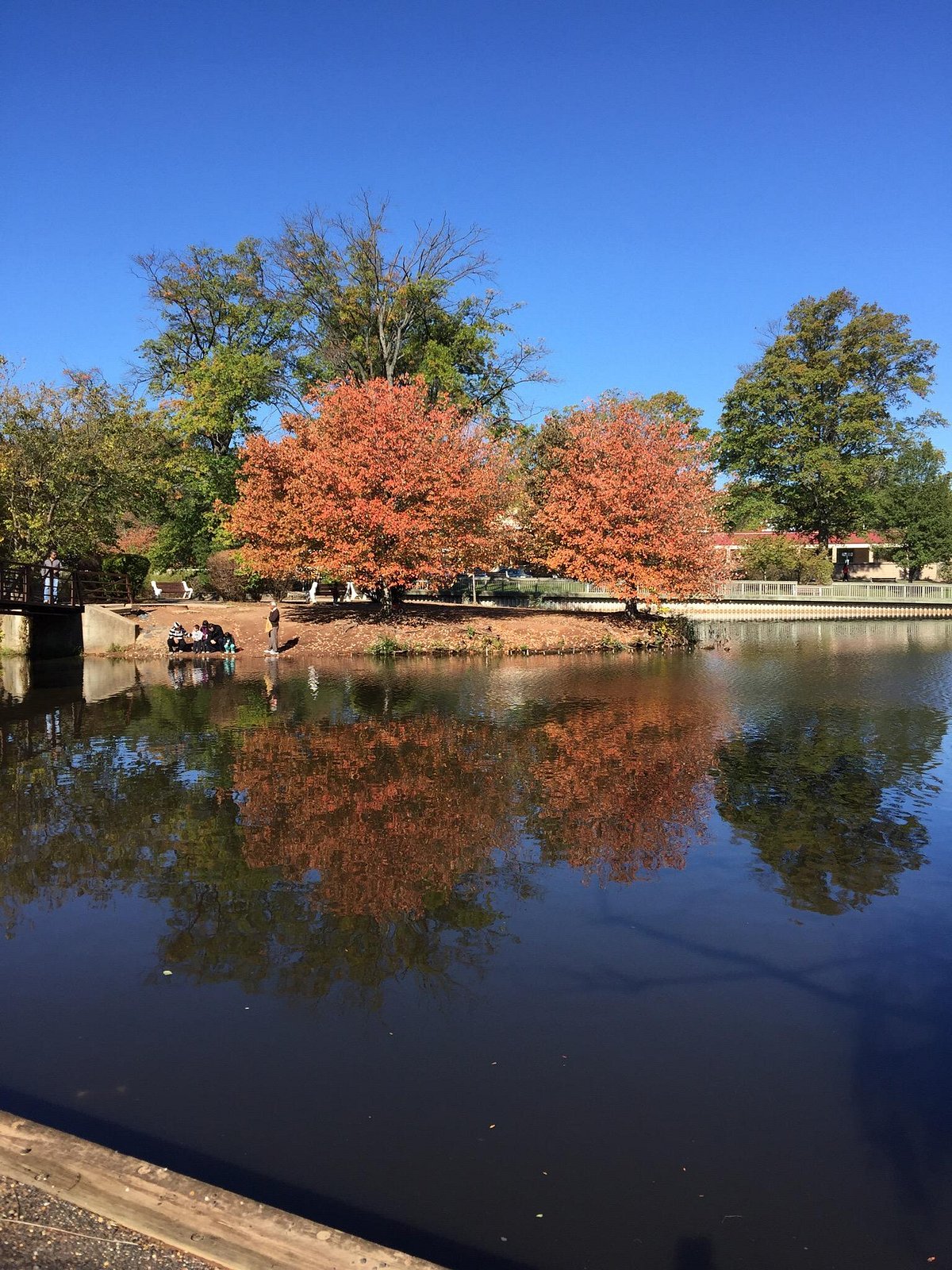 Roosevelt Park lake and trees in Edison, Middlesex County, New Jersey