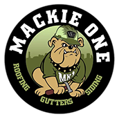 Mackie One