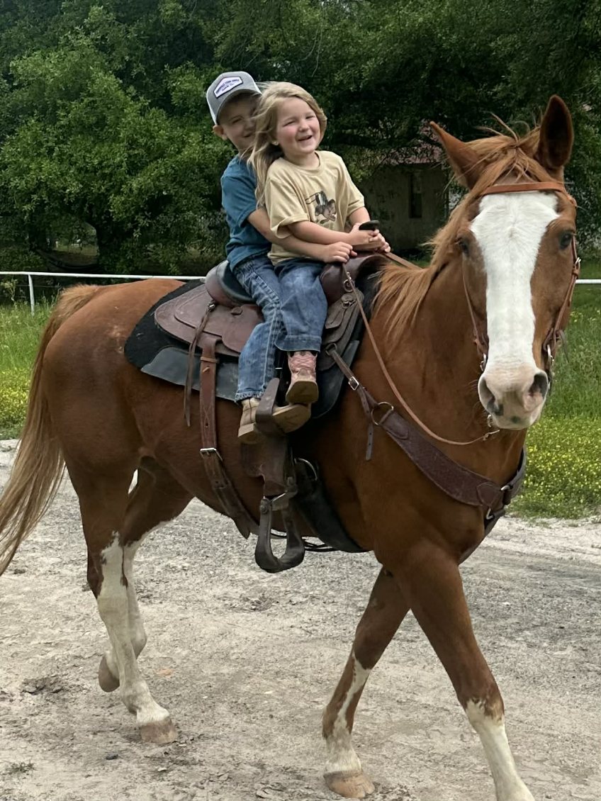 Cooper, a sorrel with blaze quarter horse