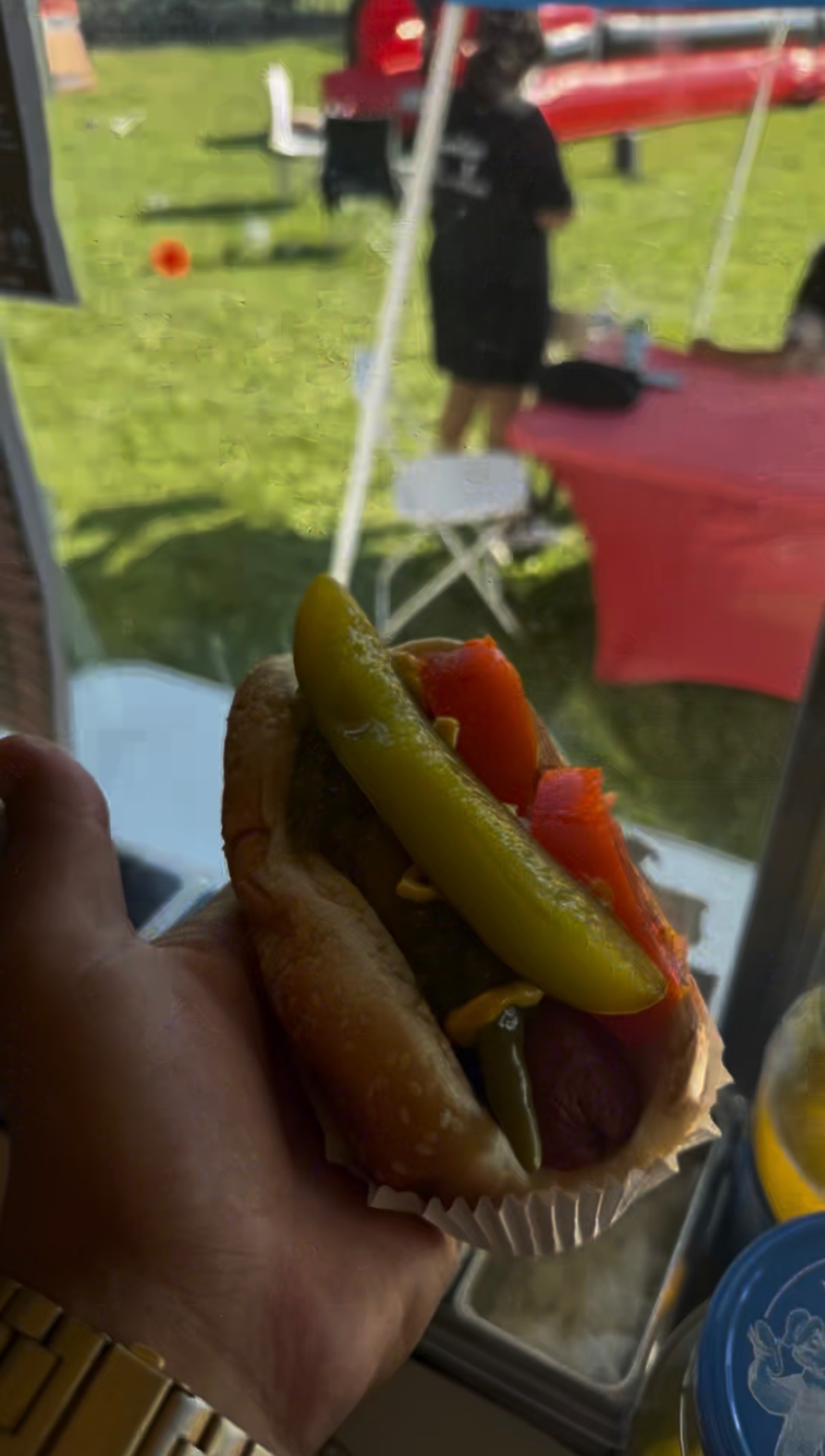 Customer holding a Chicago-style hot dog with peppers and tomato at an outdoor community event