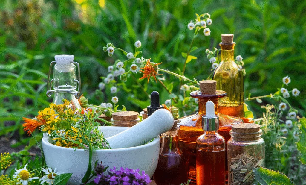 Herbal apothecary bottles, tinctures, and mortar with botanical remedies