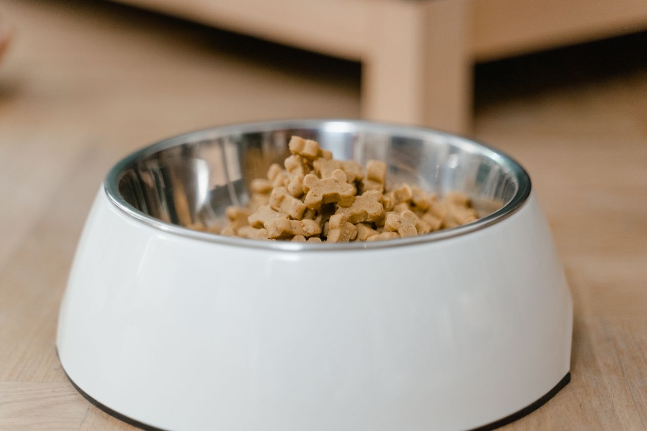 Olivarez House Cleaning — Pet Care & Cleanup