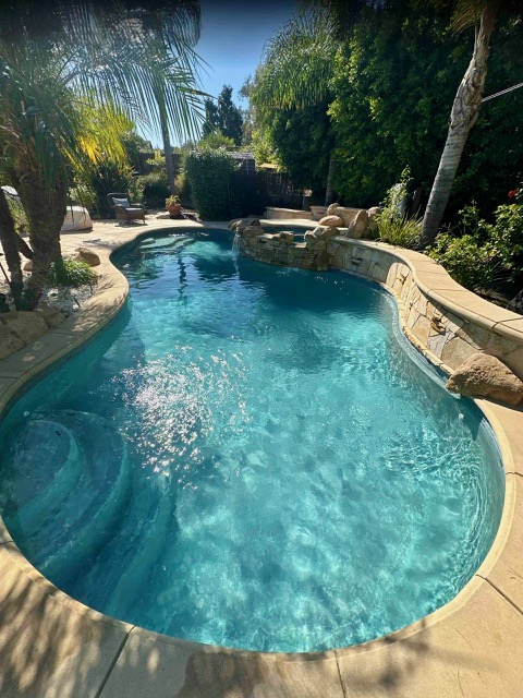 Curved backyard lagoon pool with stone coping, attached raised spa, and palm trees