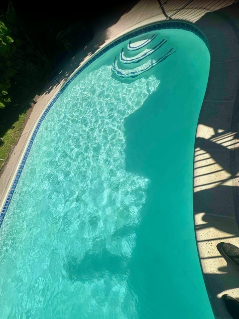 Curved in-ground swimming pool with blue waterline tile and clean turquoise water