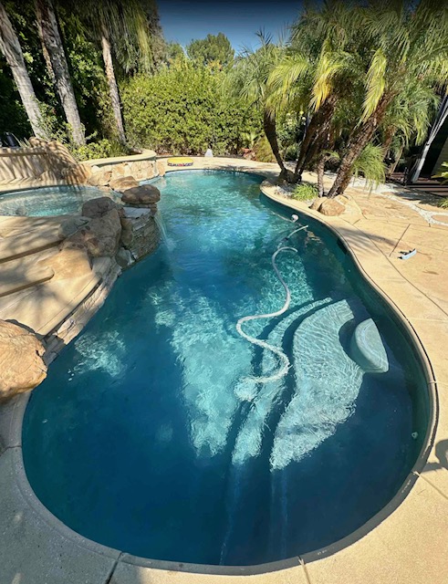 Freeform swimming pool with rock waterfall feature, entry steps, and surrounding palms