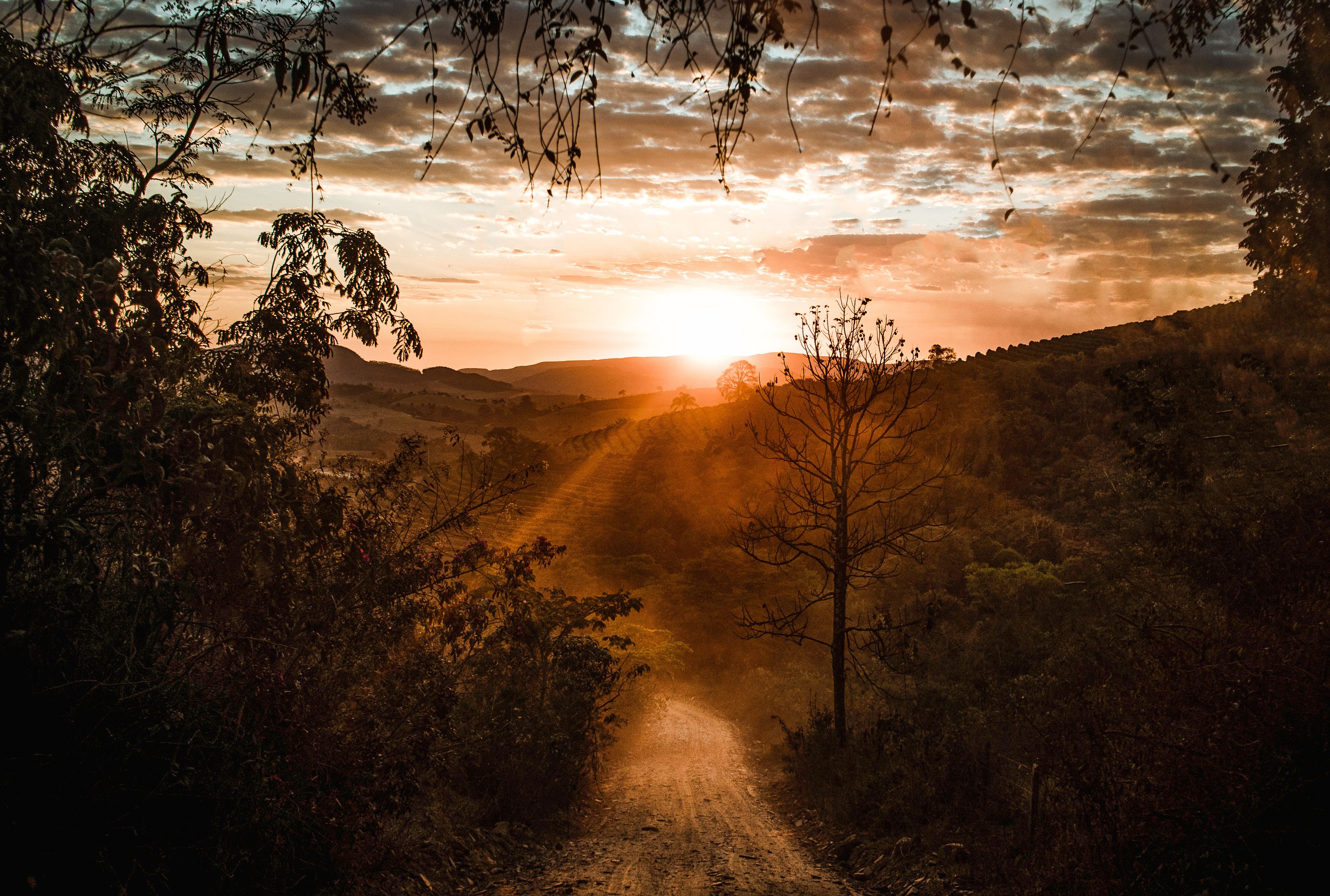 Road leading towards the warm sunrise and glowing horizon