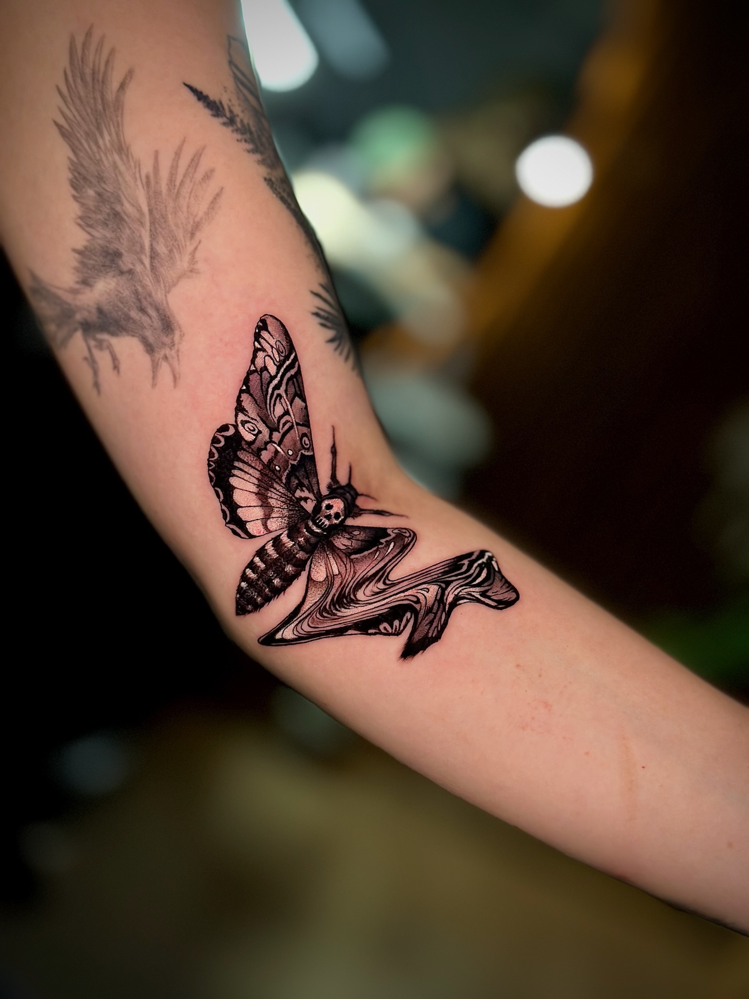 Polilla calavera