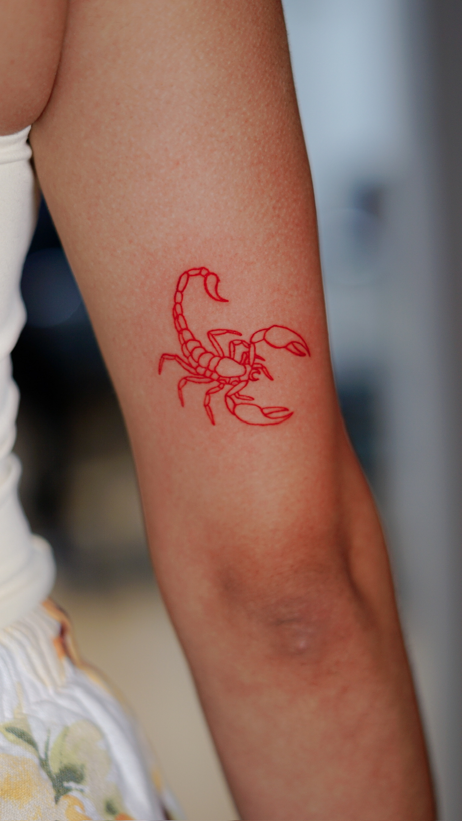 Escorpión tinta roja