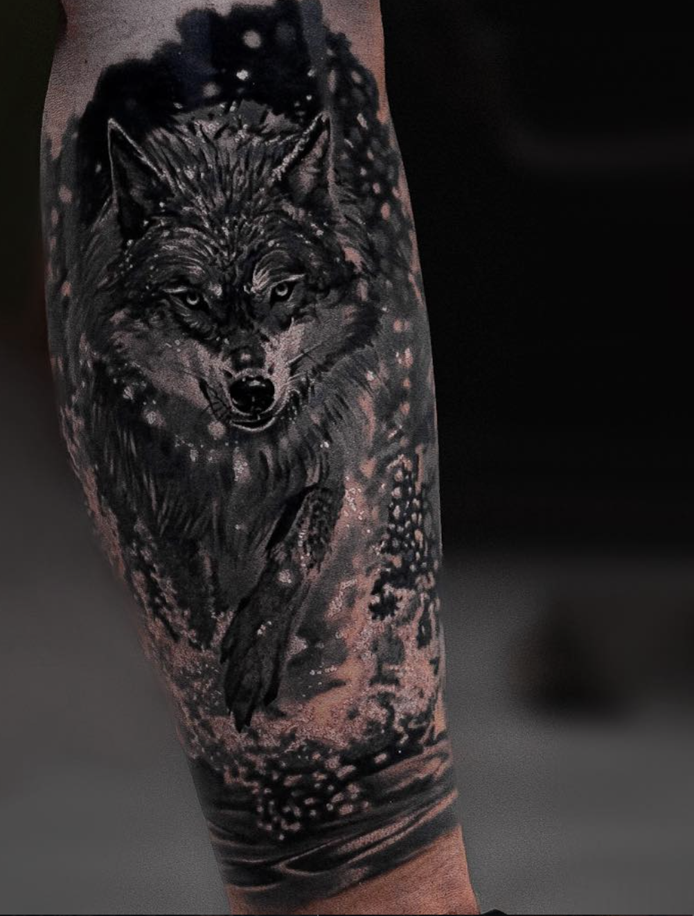 Lobo en nieve