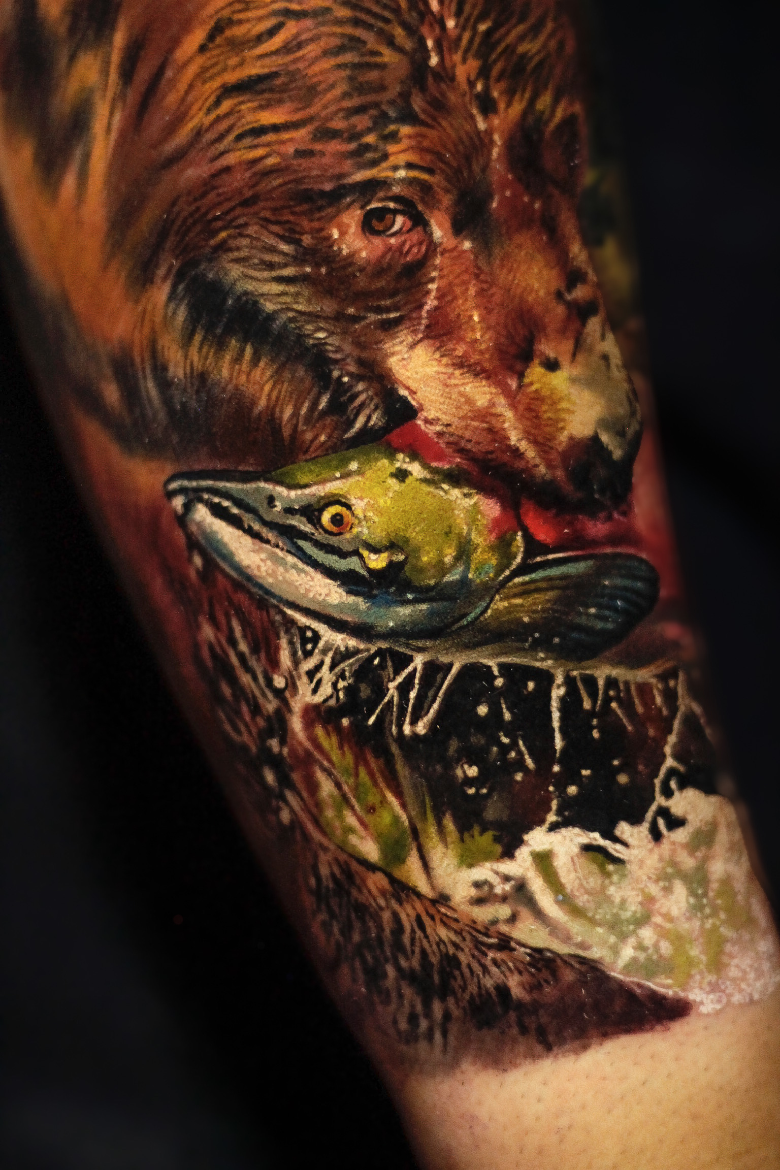 Oso & salmón