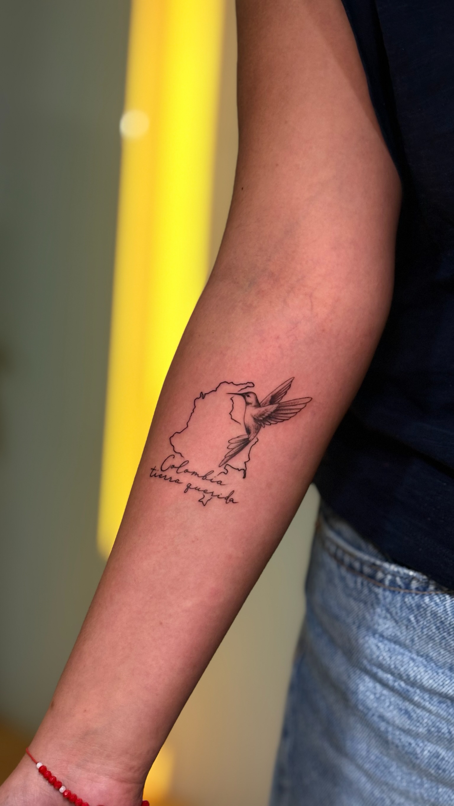 Colibrí & mapa Colombia