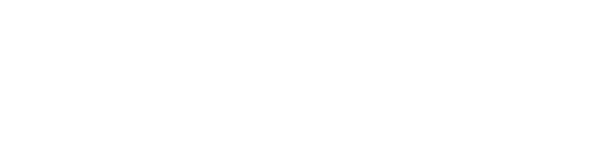 Partner.Co Independent Brand Partner