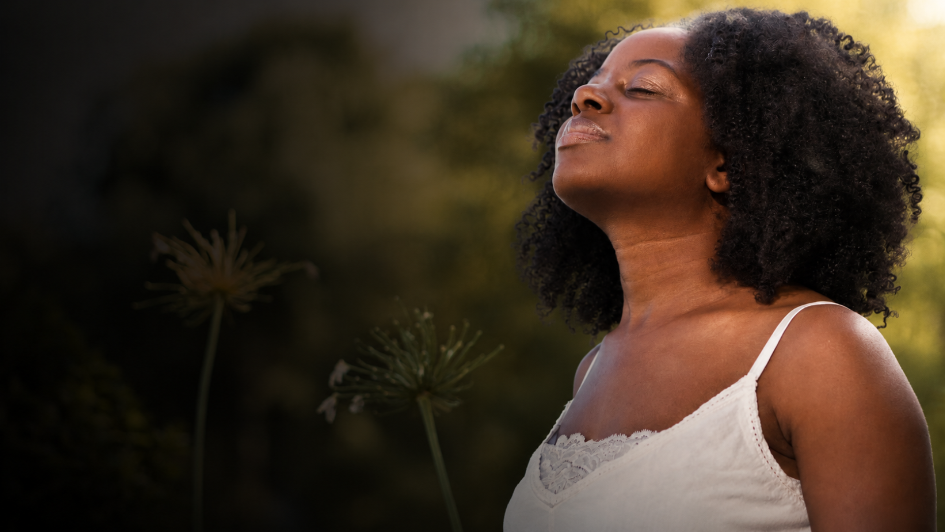 Radiant Skin Rejuvenation and Anti-Aging