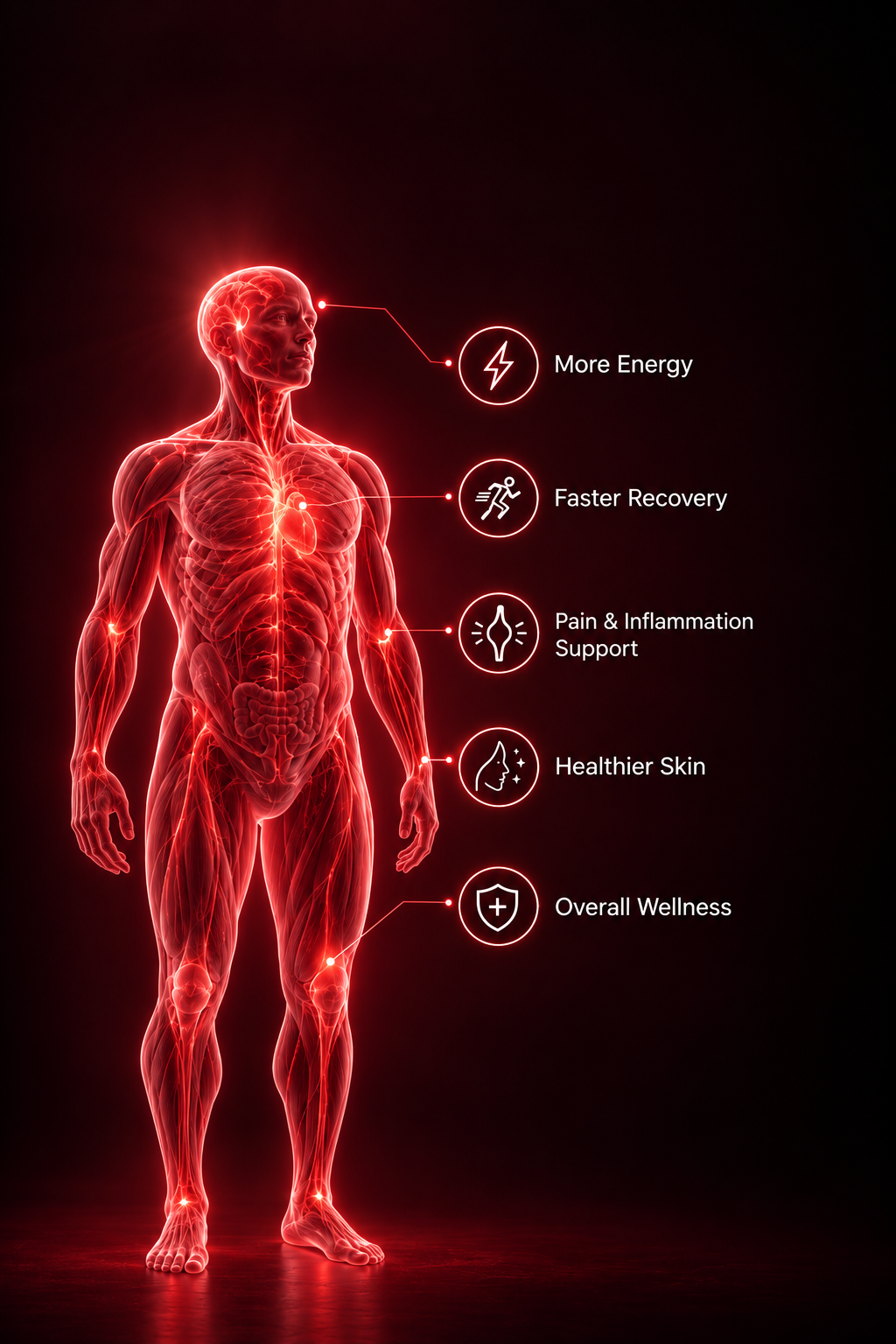 Step 05: Cellular Health & Wellness