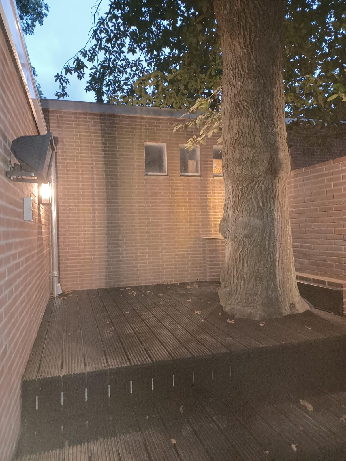 Patio rond een beschermde boom bij het vrijstaande bijgebouw