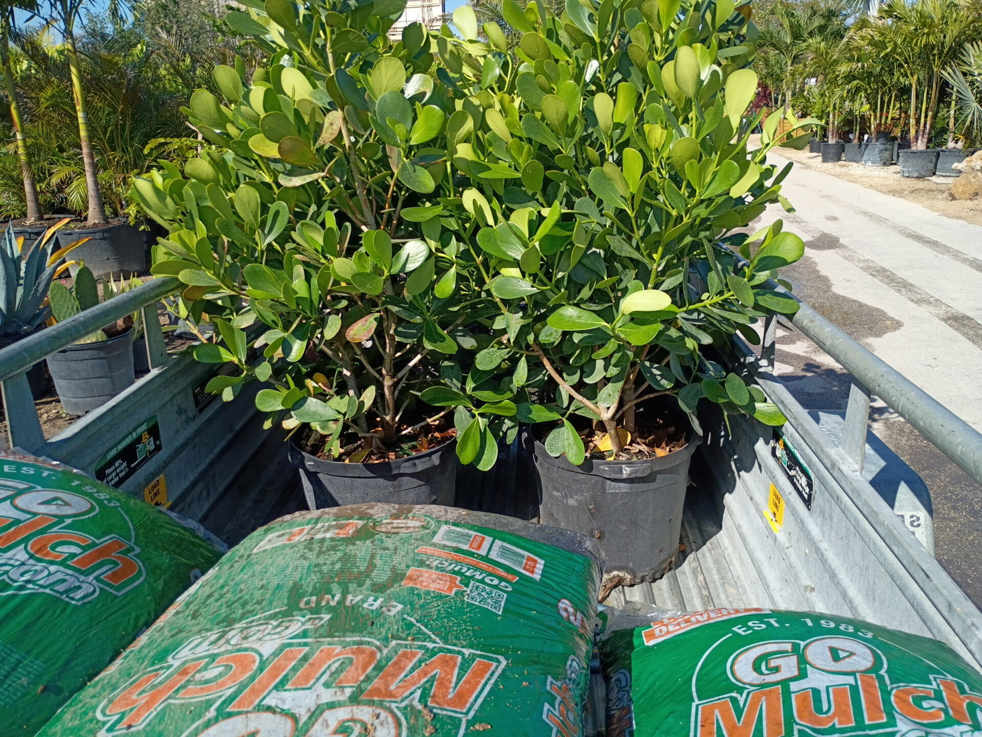 Bless Gardenz work trailer loaded with fresh mulch bags and healthy tropical landscape plants ready for installation