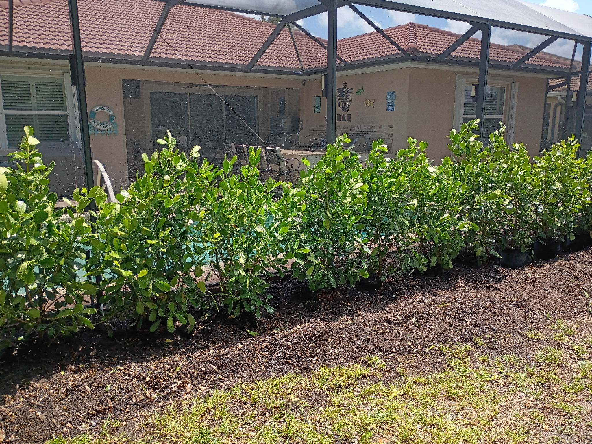 Bless Gardenz crew preparing a landscape bed and planting tropical foliage along a residential lanai in Fort Myers