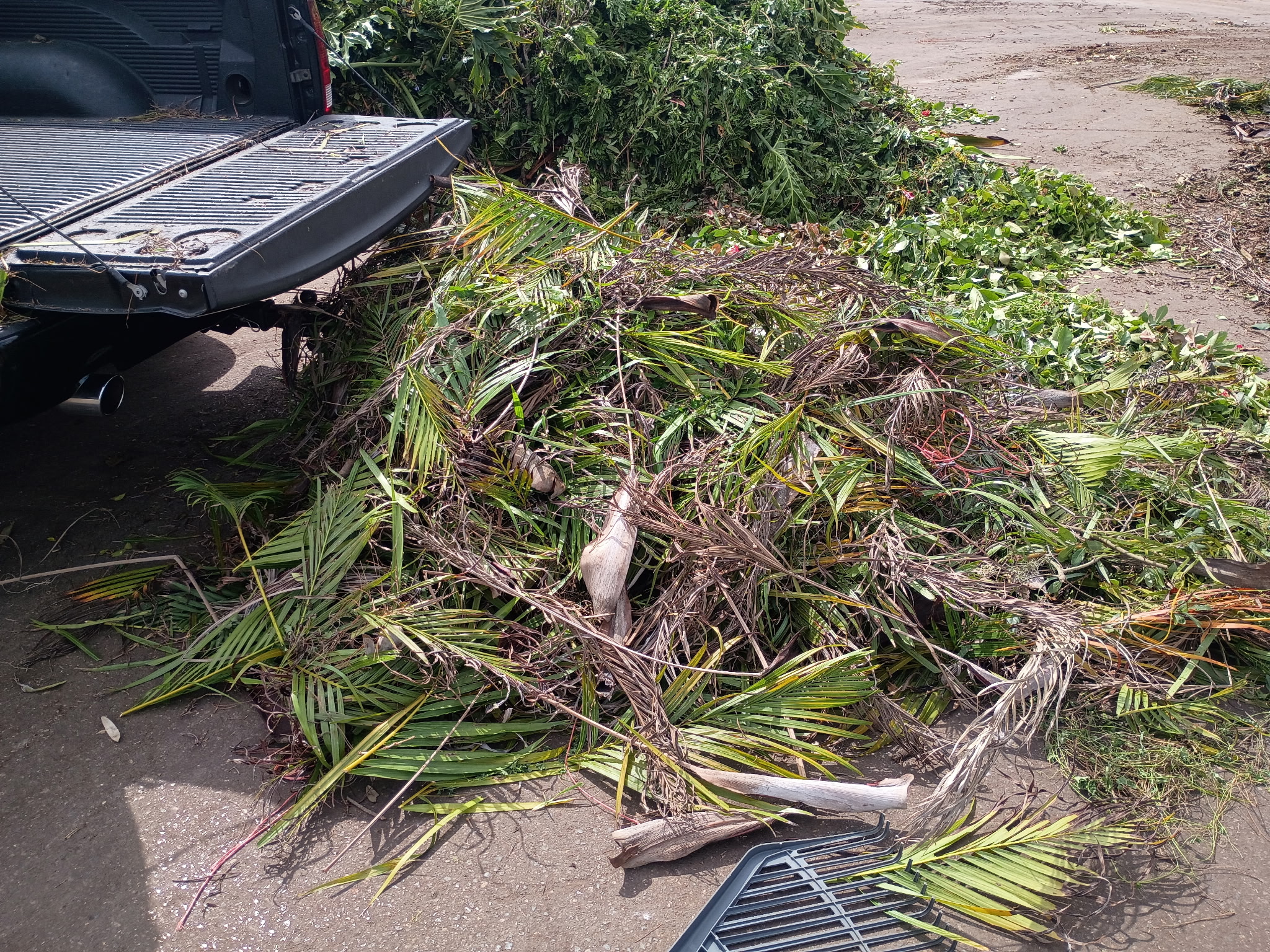 Truck bed loaded with hauled palm fronds and tree trimmings during clean up by Bless Gardenz