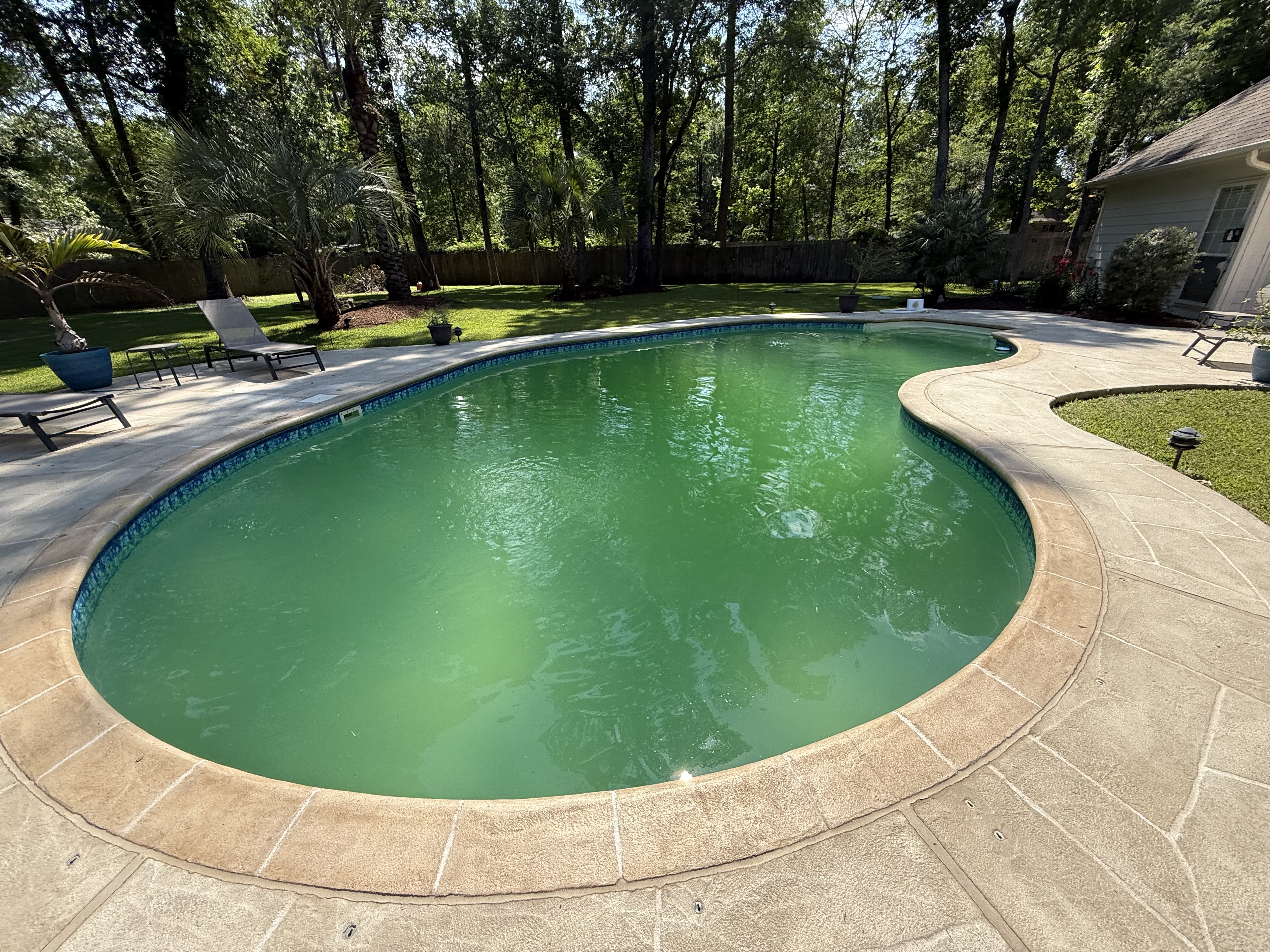 Green to clean pool service in Cypress backyard swimming pool turned from green to blue