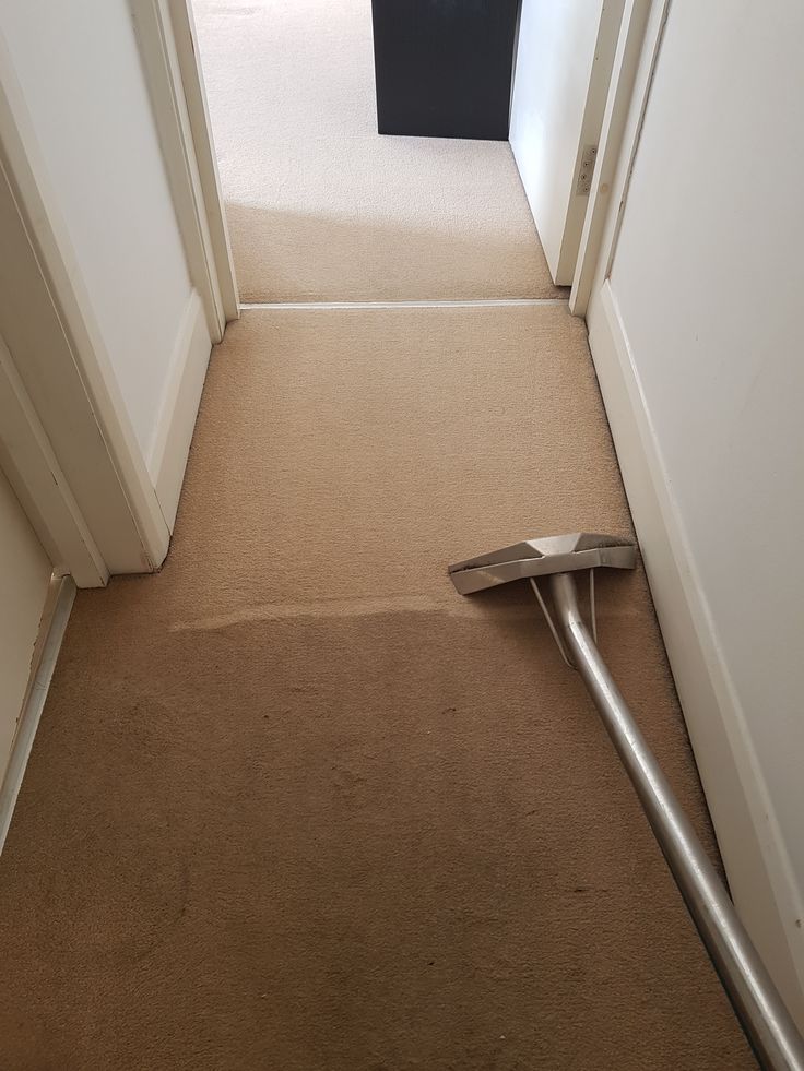 Professional Carpet Cleaning