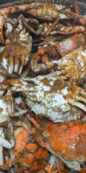 Crab seasoning display