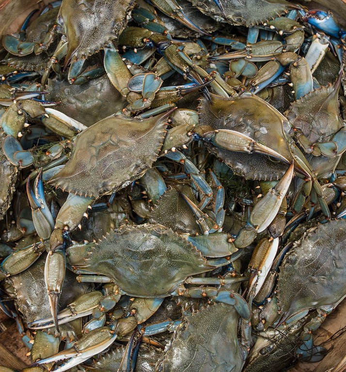 Crab carryout market storefront