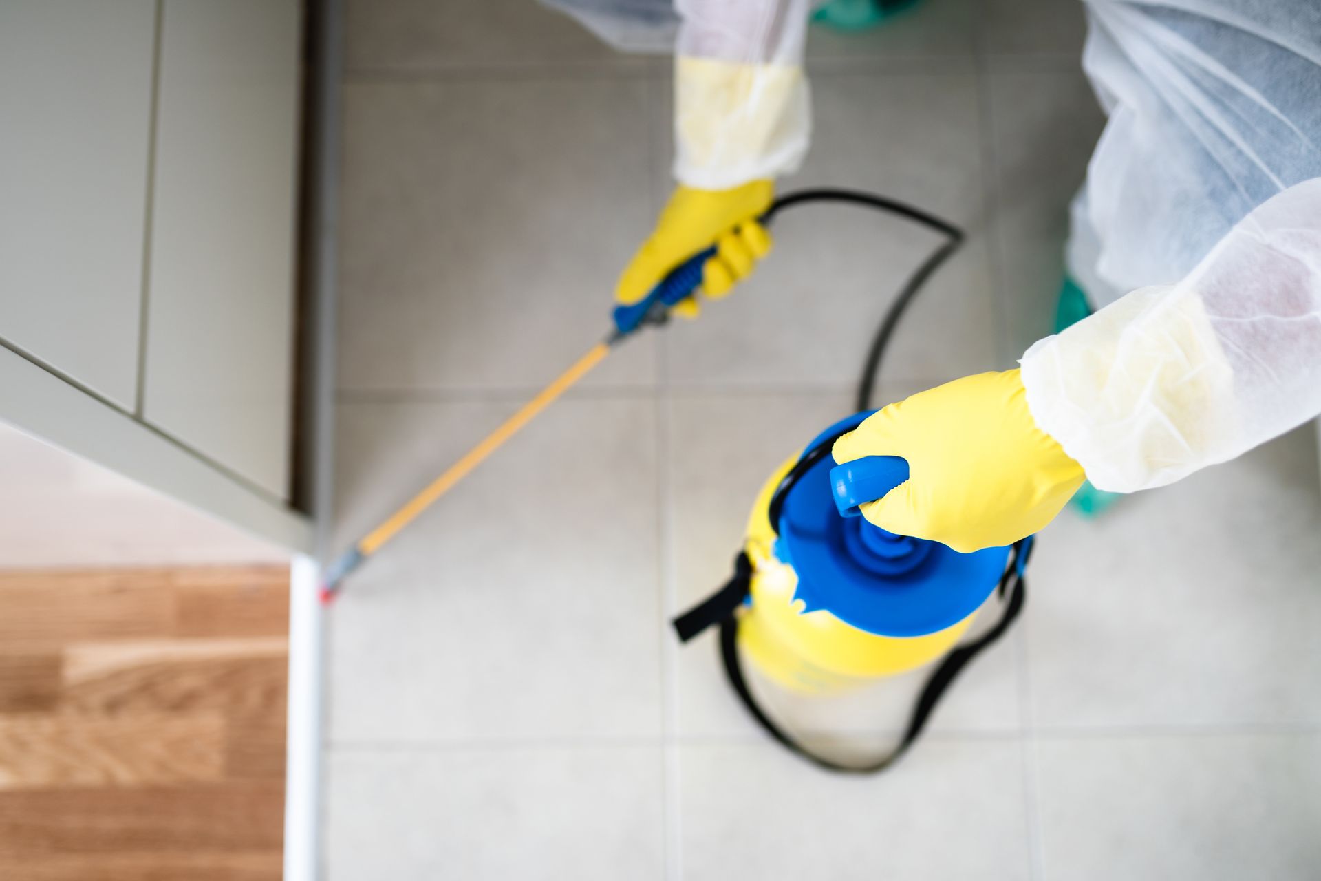 Top-down view of technician spraying floor baseboards