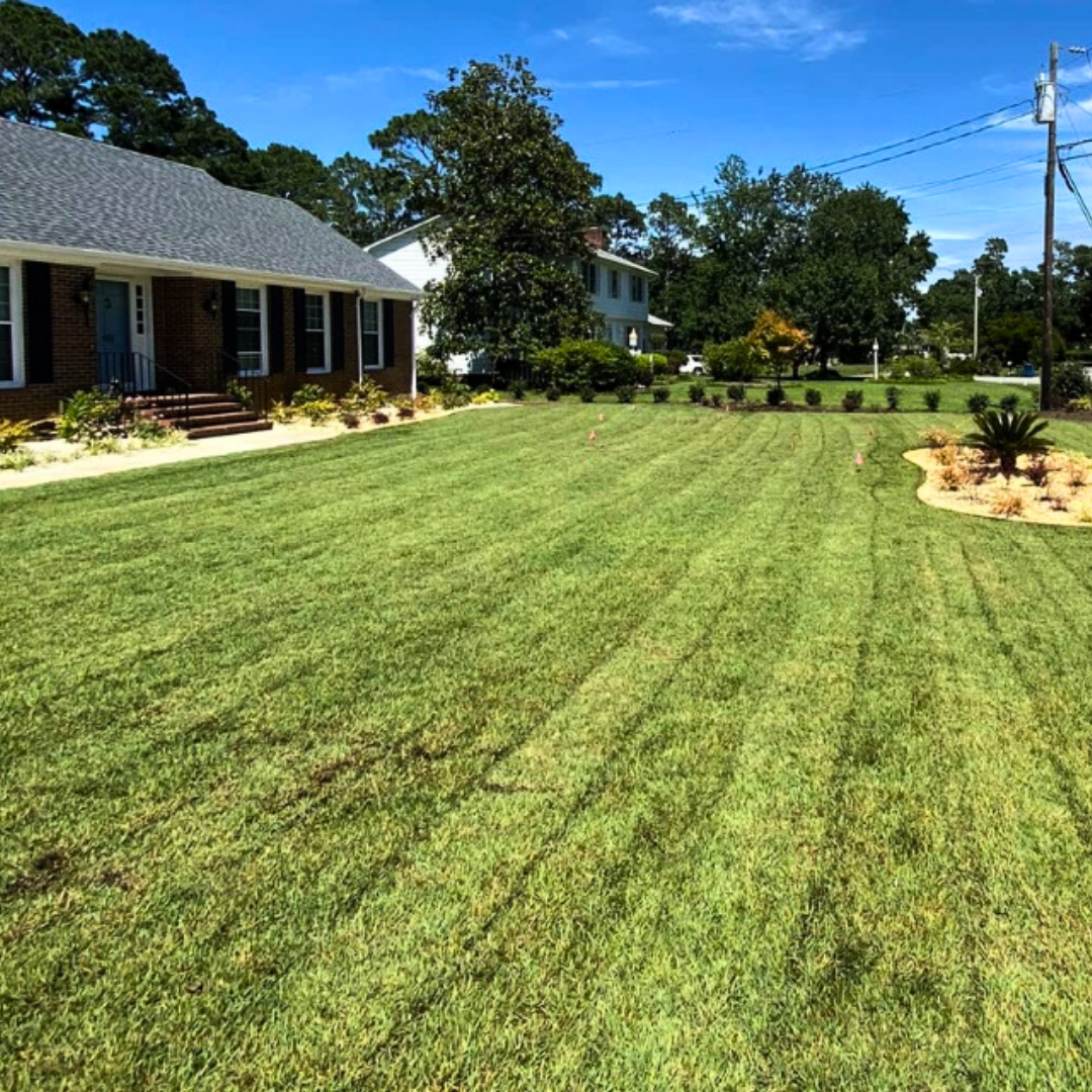 Landscape Maintenance