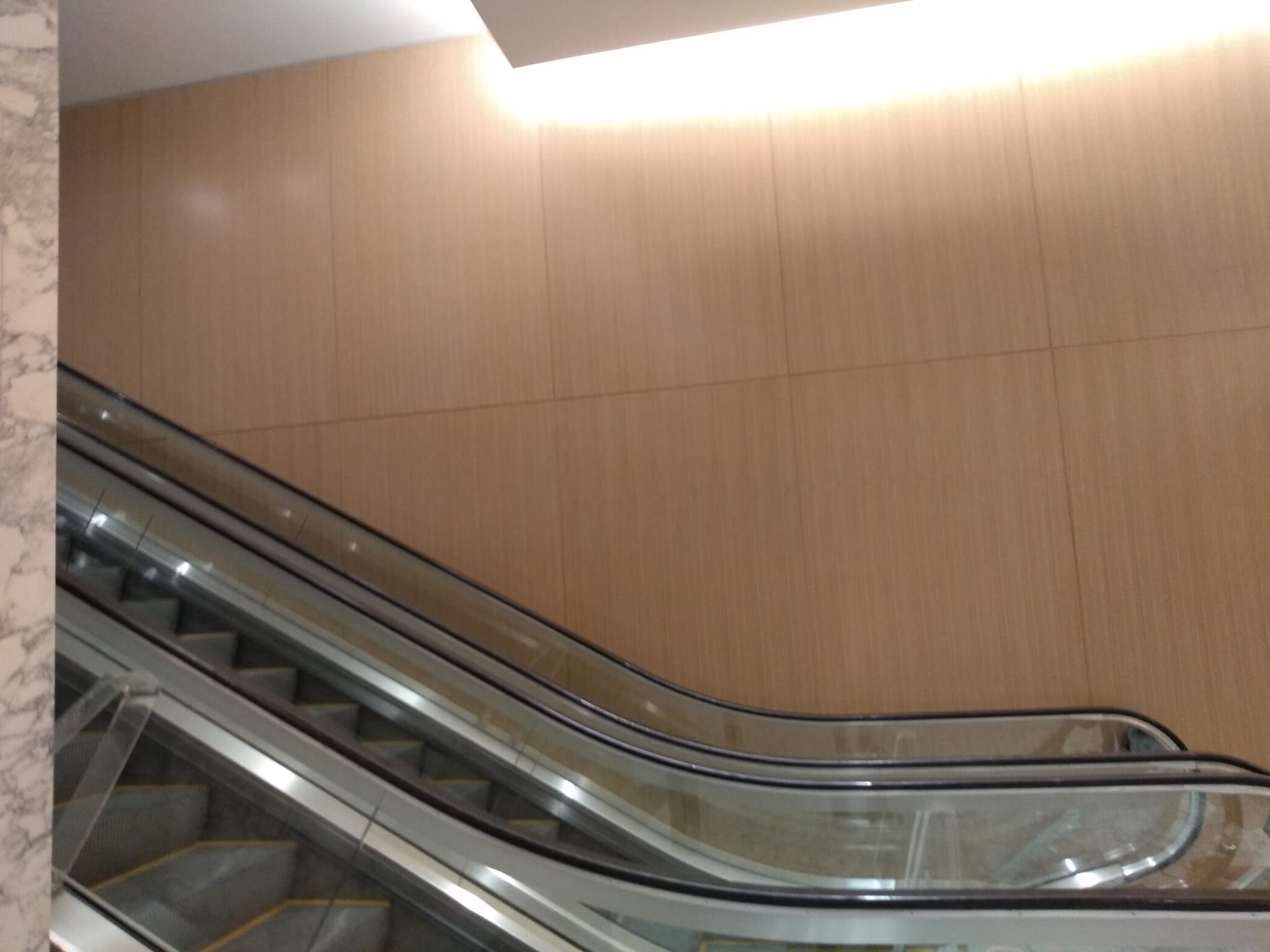 Massive natural oak architectural veneer wall paneling alongside commercial escalators in Winston-Salem NC
