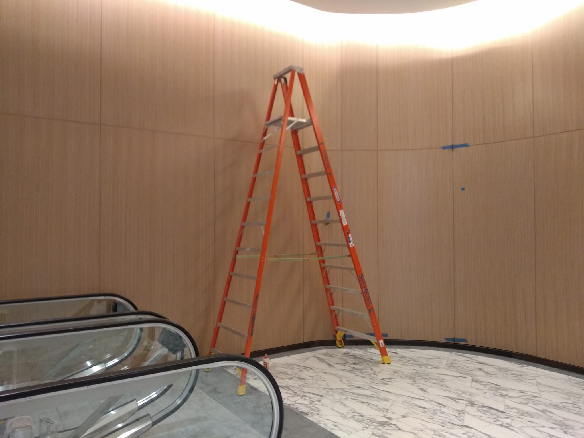 Finish carpentry installation of curved architectural blonde oak wall panels with cove lighting in Winston-Salem NC
