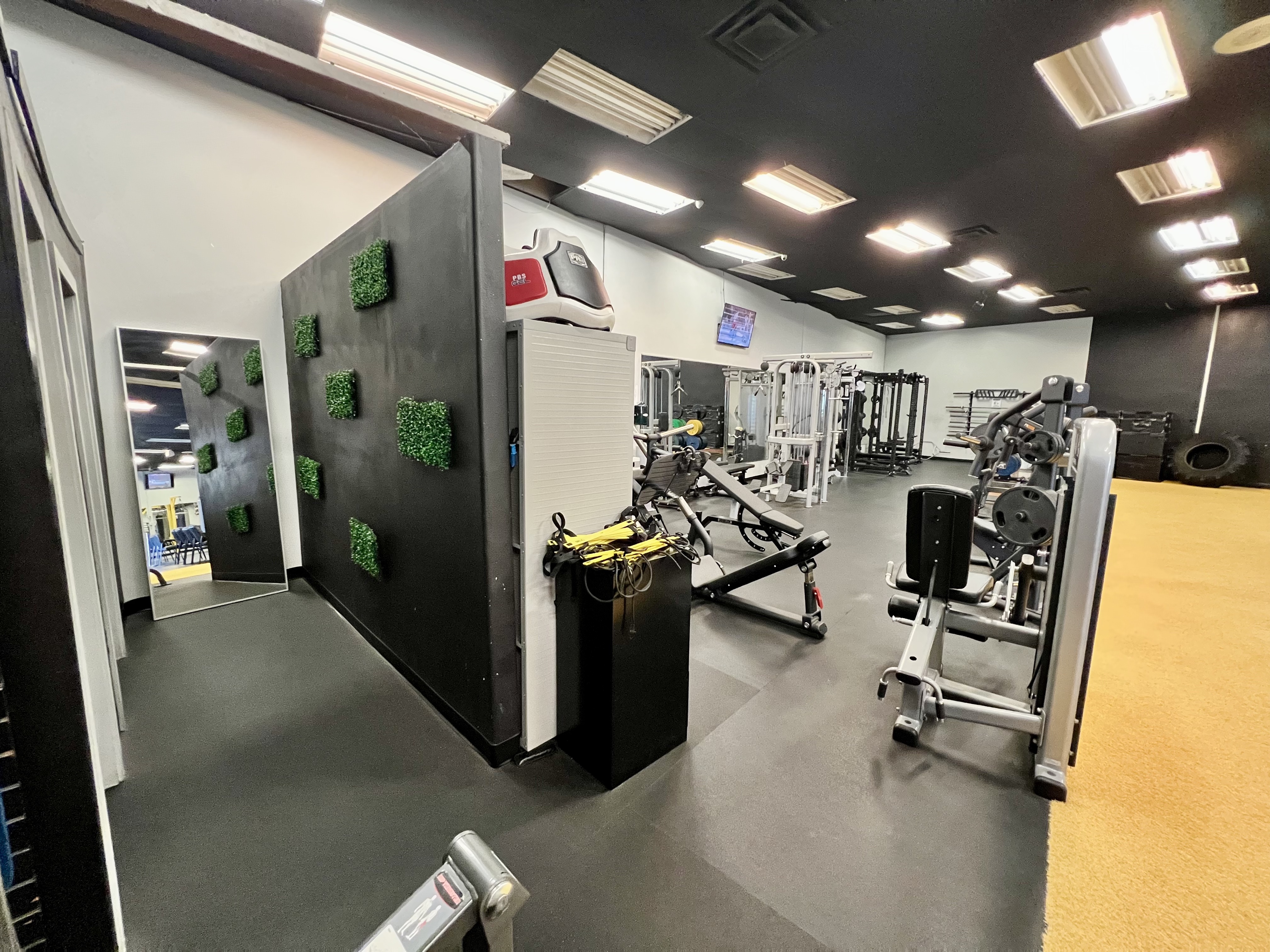 MBSP strength training area with green living wall panels