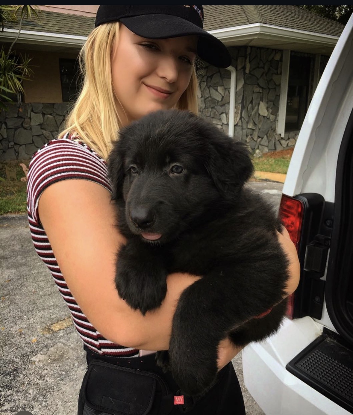 Early engagement and relationship building with young puppies.