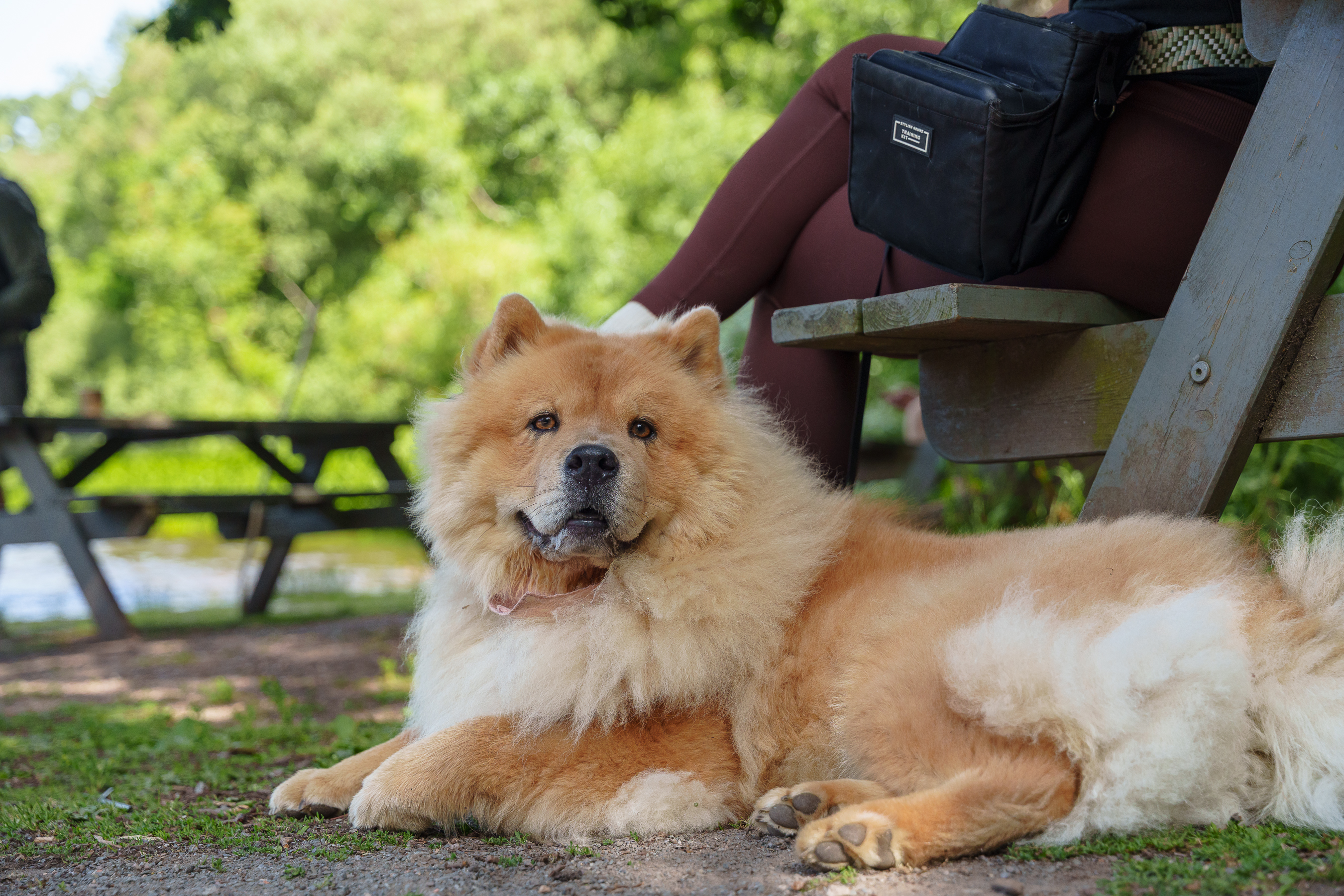 Relaxed settle and calm neutrality in public outdoor environments.