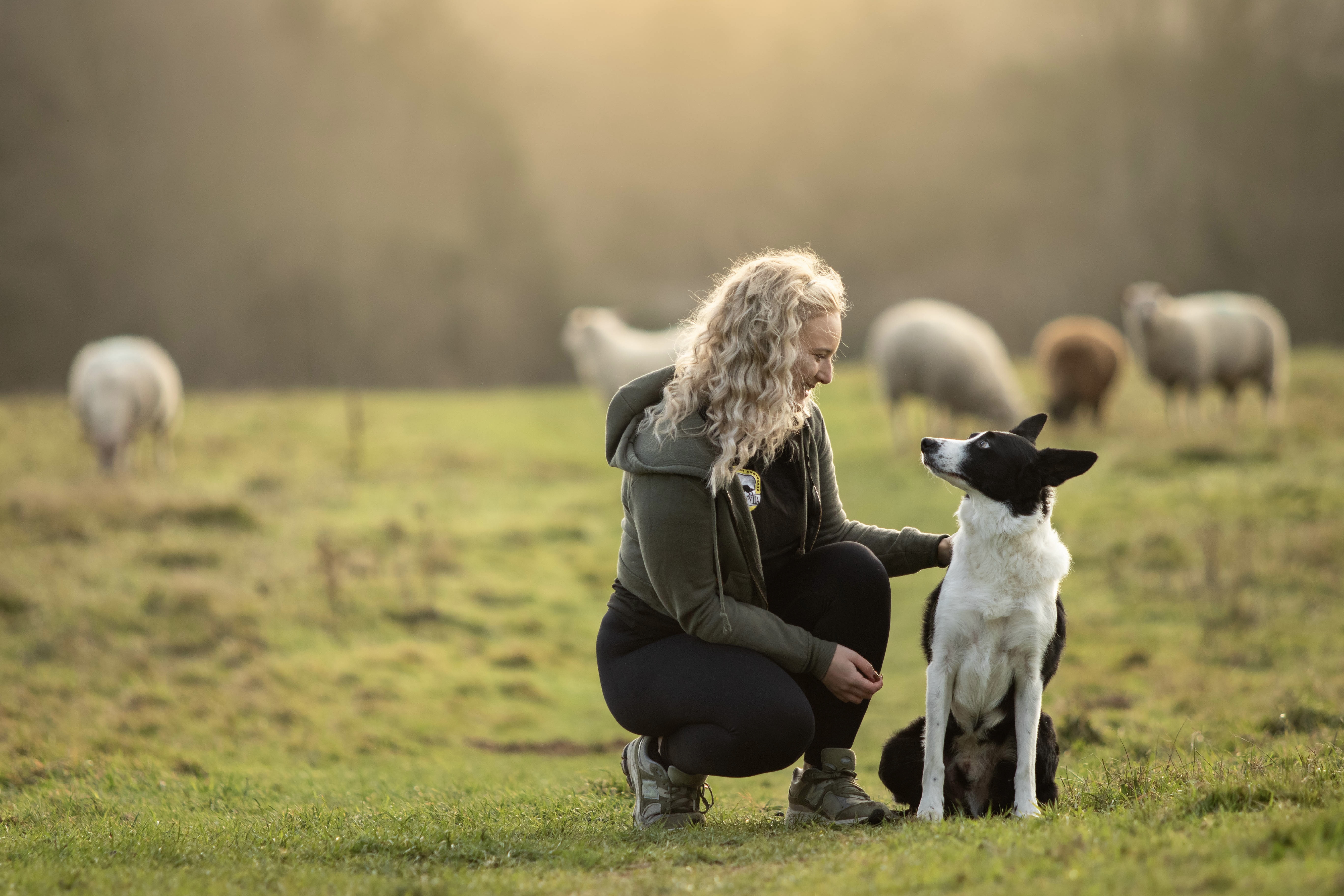 Ally's Dogs trainer working hands-on with a calm dog in the British countryside during a bespoke training programme