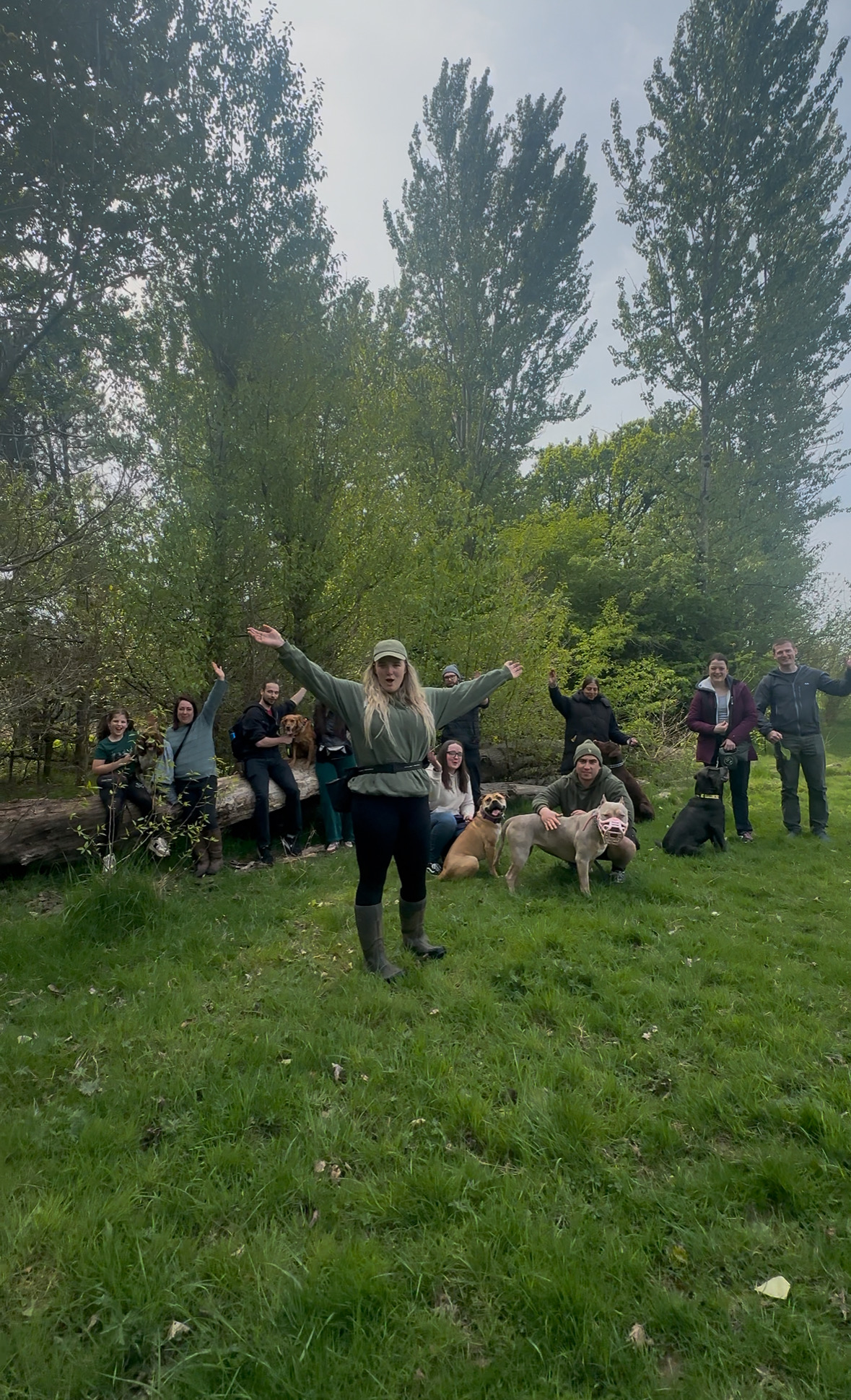 A joyful, judgement-free group pack walk in the woodland with our dedicated members and their dogs.