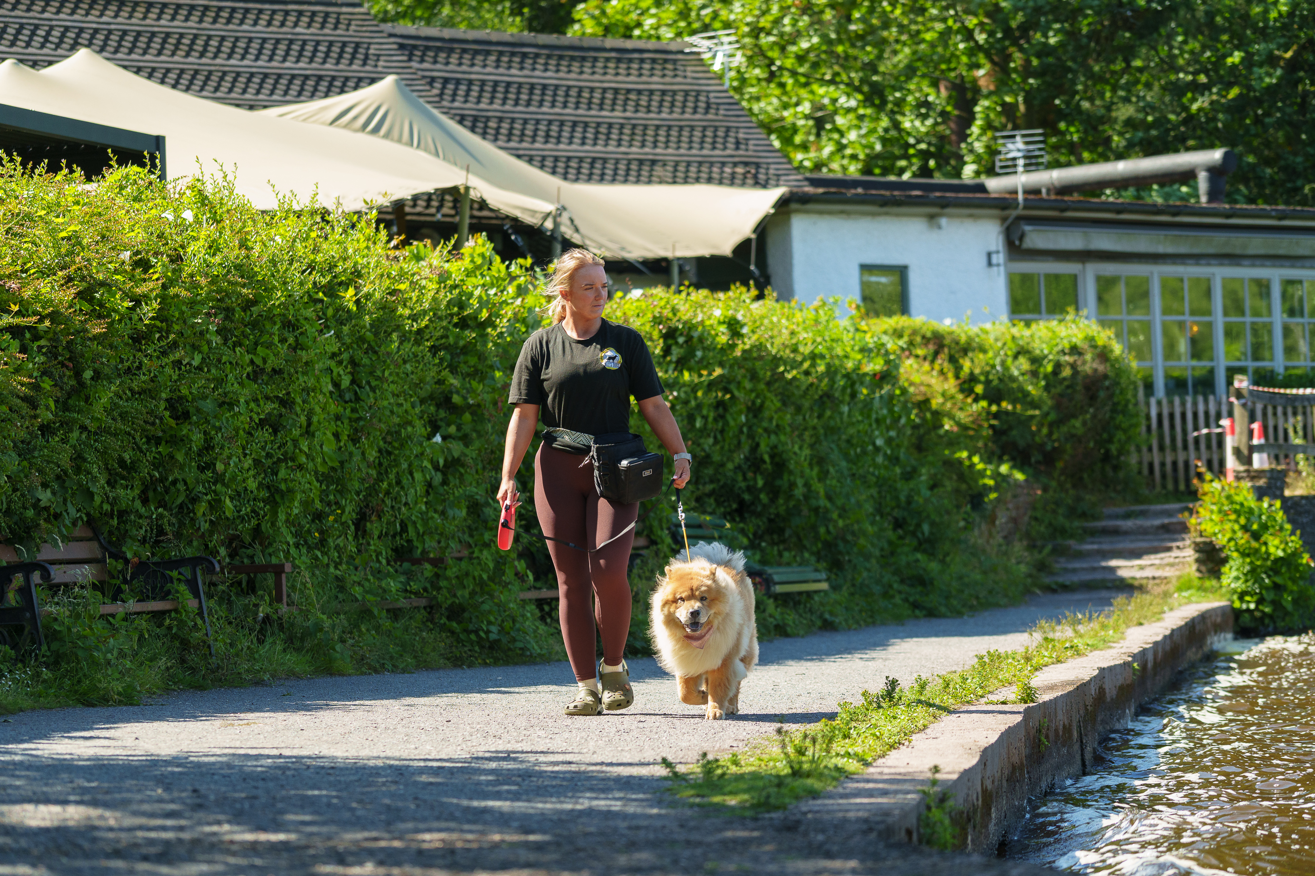 Ally walking outdoors with a client's dog, demonstrating loose-lead training