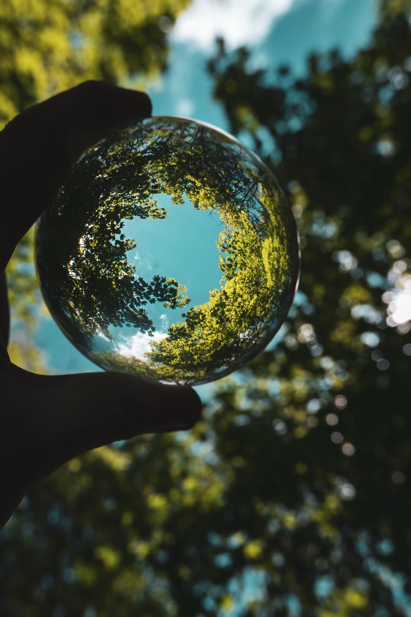 Certified Sustainable Project Professional (CSPP™) – RPL Accelerated Course