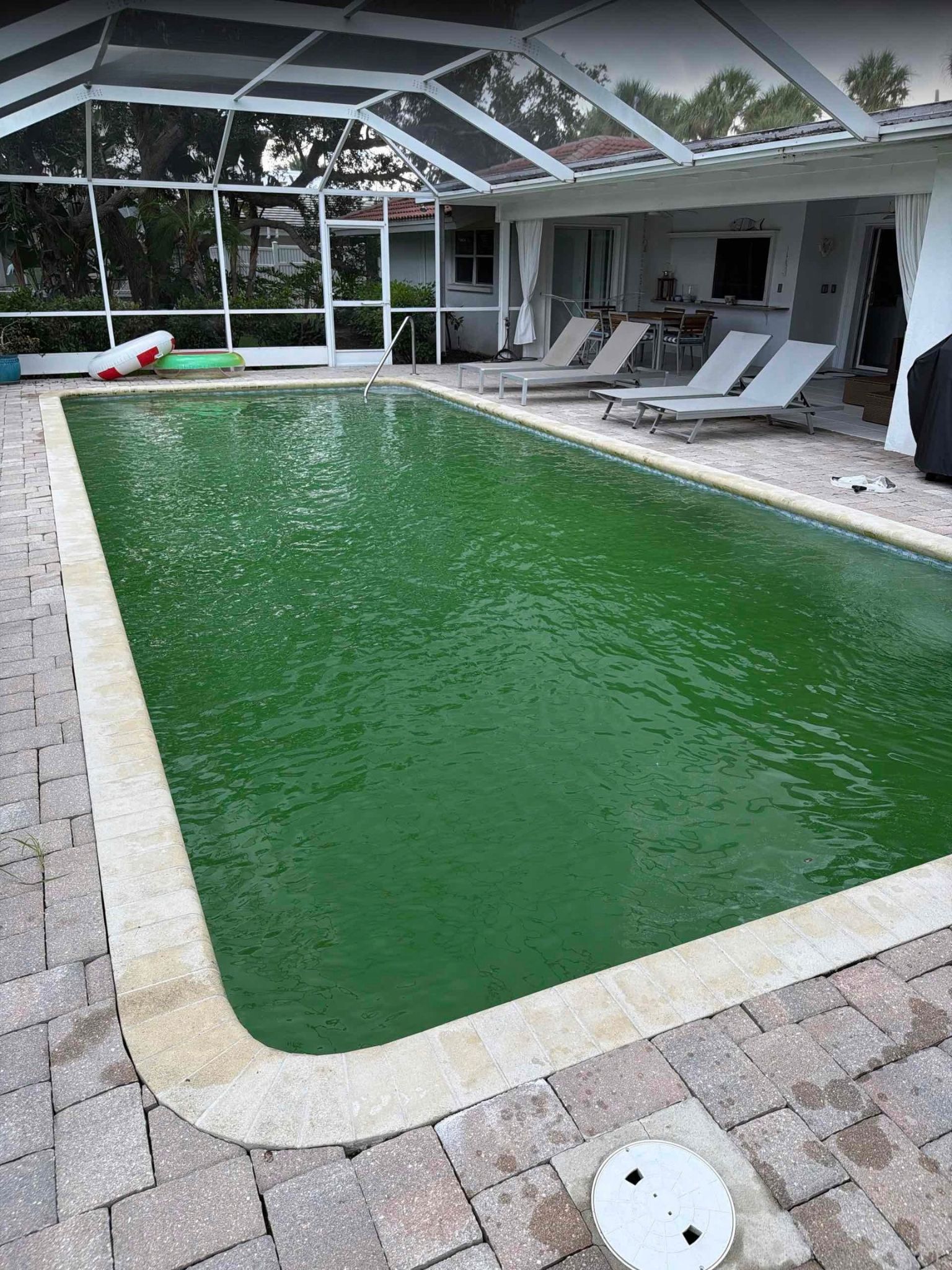 Before green pool recovery showing severe green algae bloom in an enclosed Florida pool