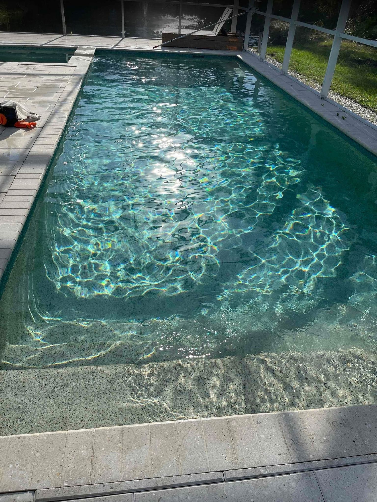 Pool cleaning service in Sarasota backyard pool