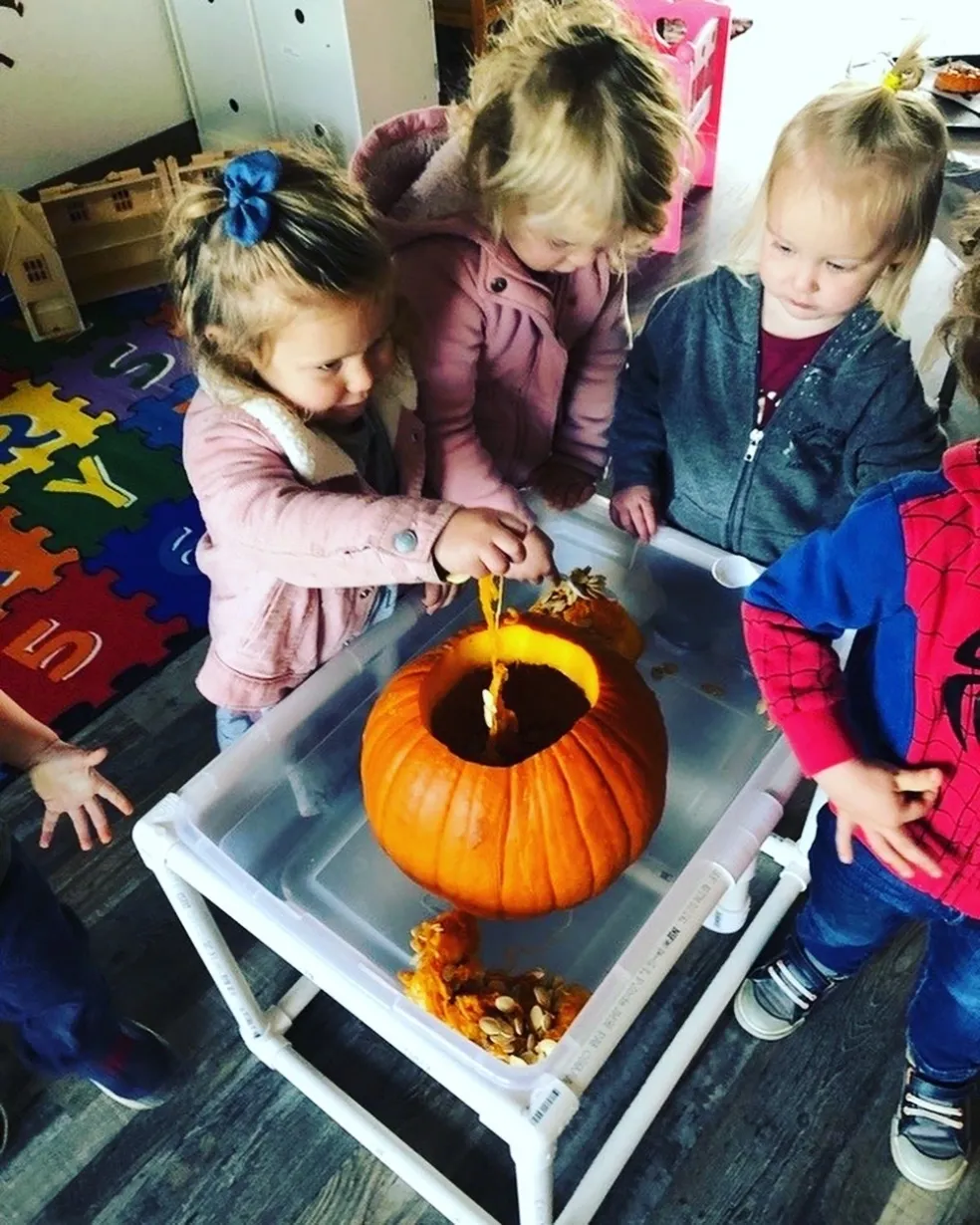 Preschoolers exploring sensory pumpkin exploration with seeds and scoops