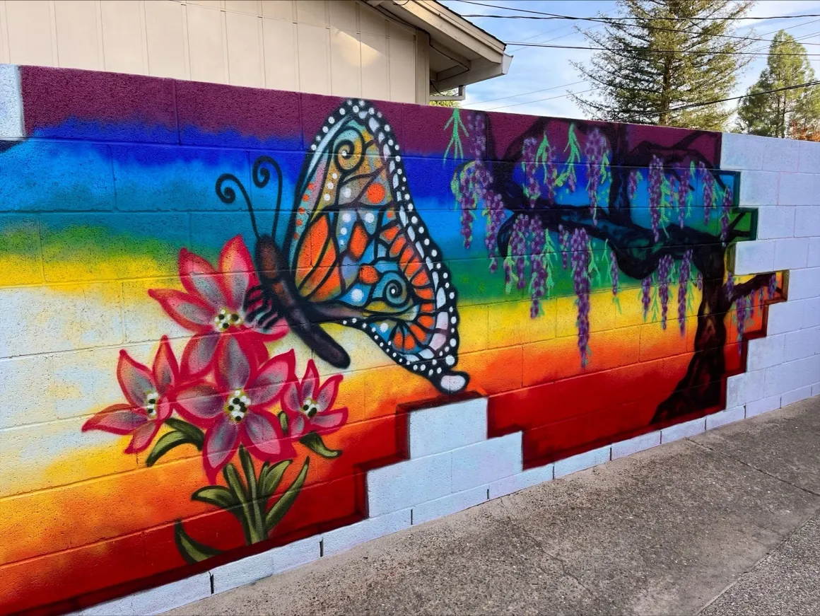 Vibrant butterfly and floral hand-painted outdoor playground mural wall