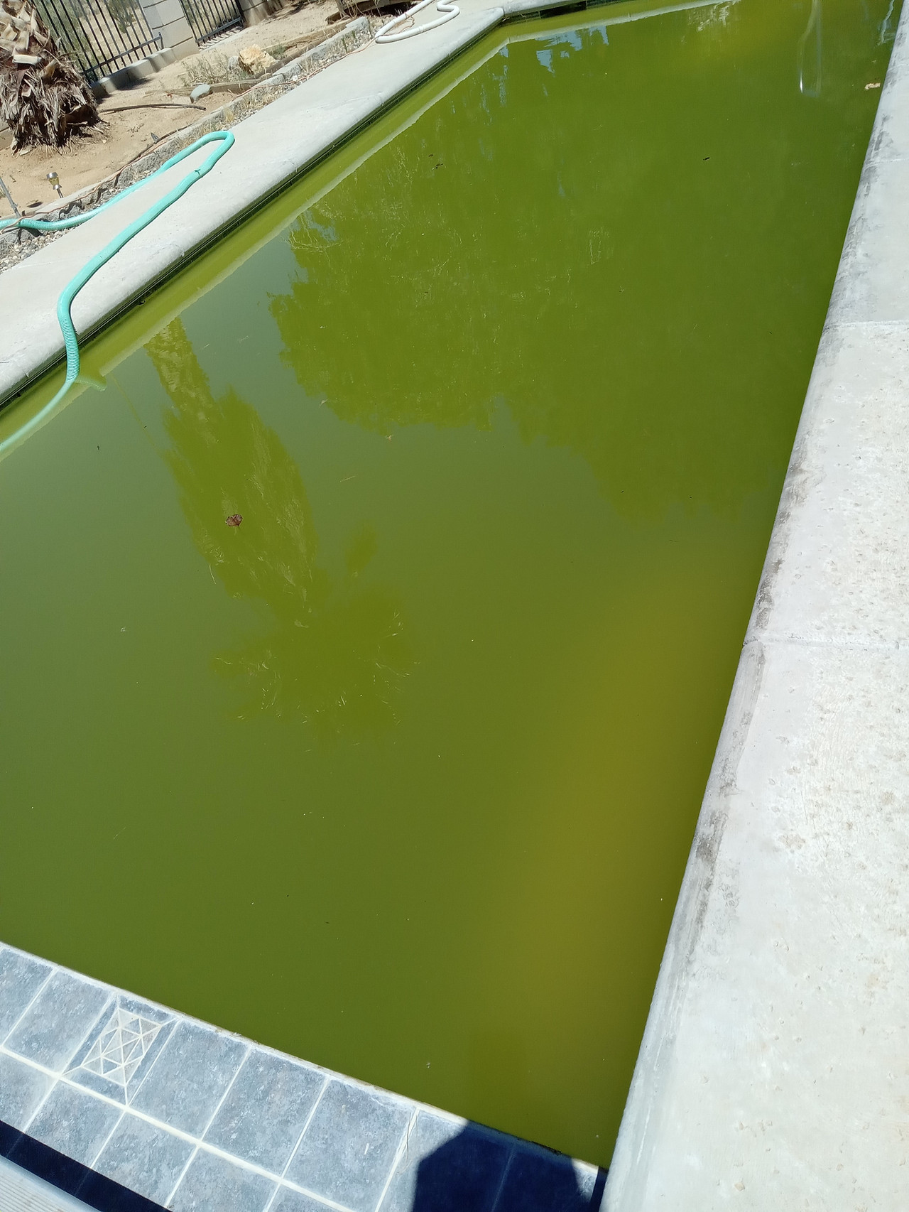 Severe green algae bloom before Connor Jaeger Pool Service intervention in Ridgecrest, CA