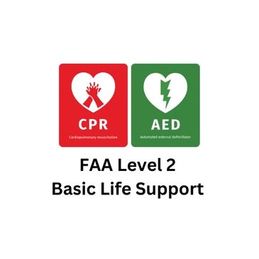 Basic Life Support (CPR & AED)