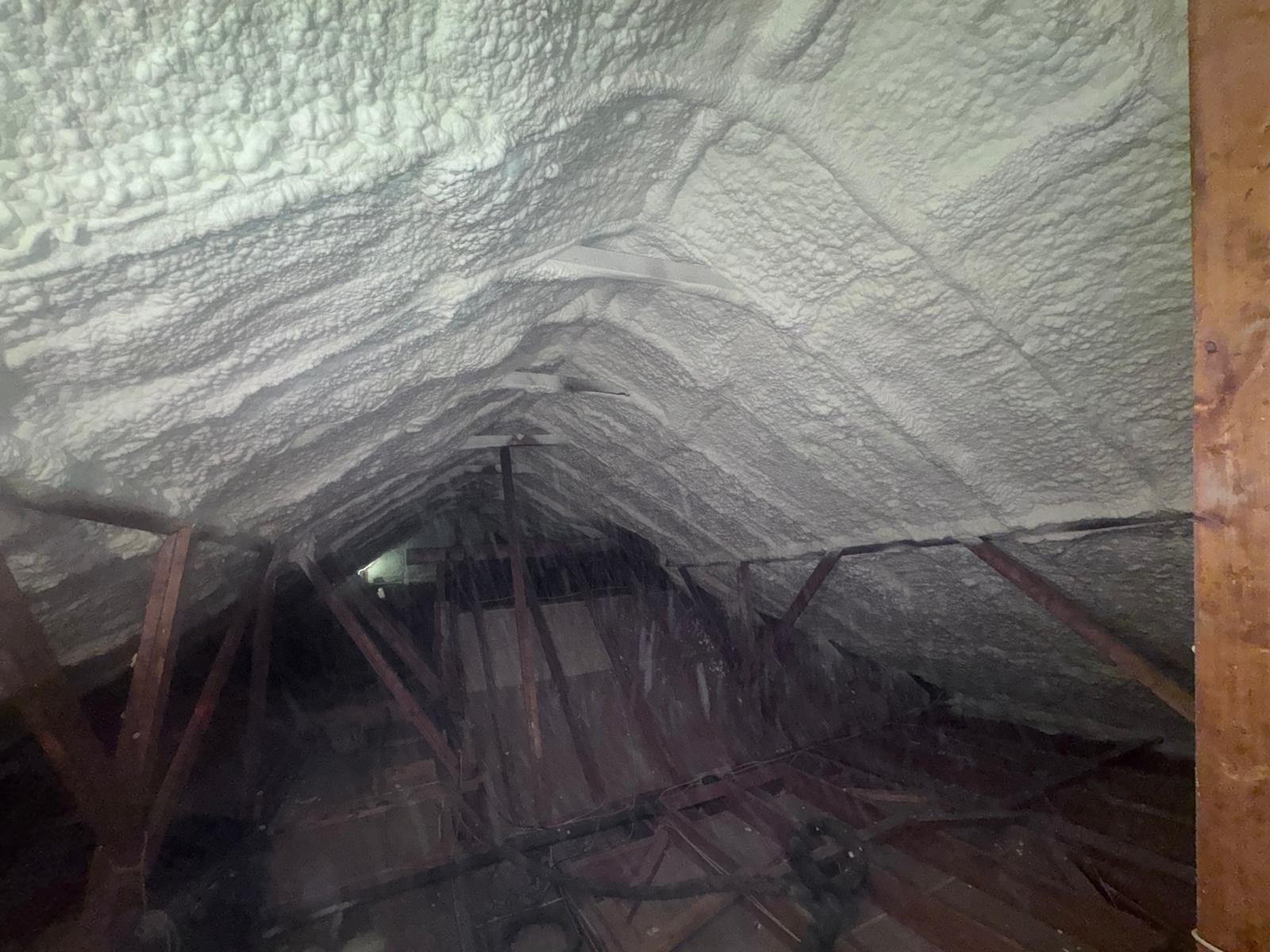 Blown-In Insulation project