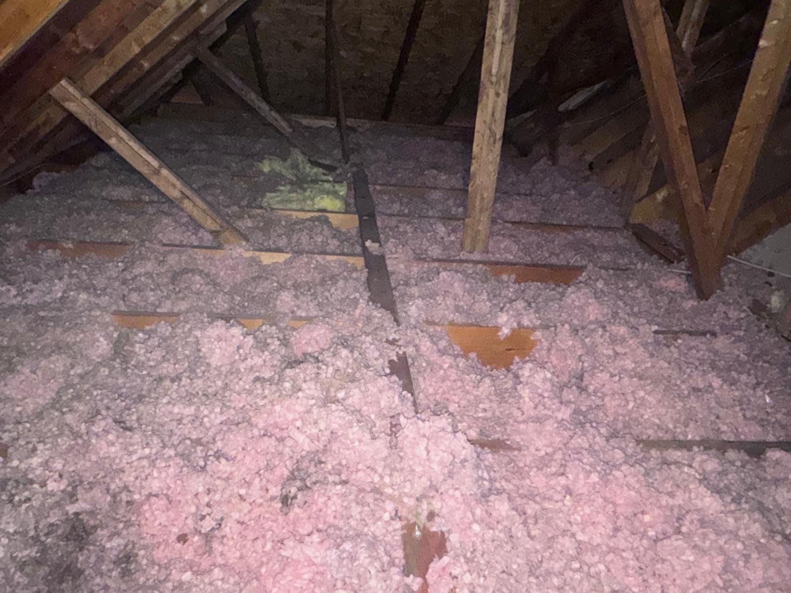 Insulation Removal