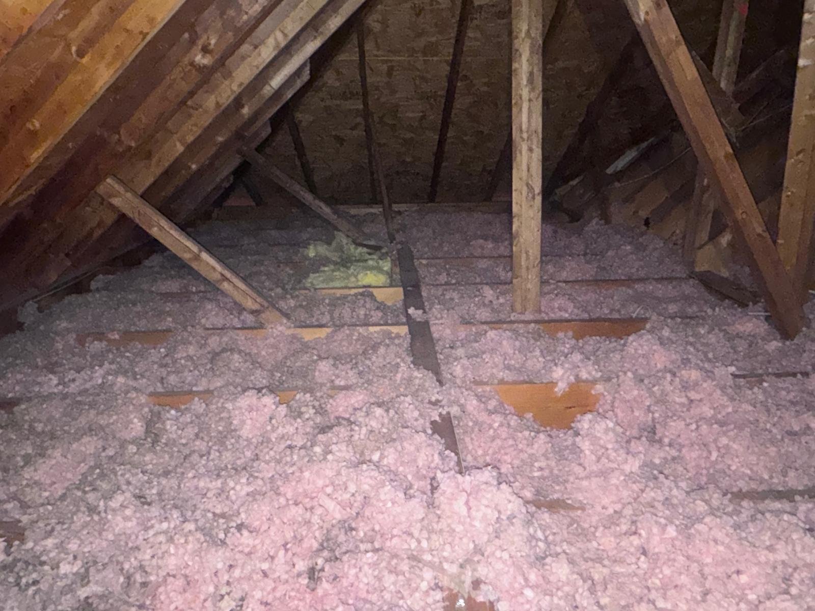 Blown-In Insulation