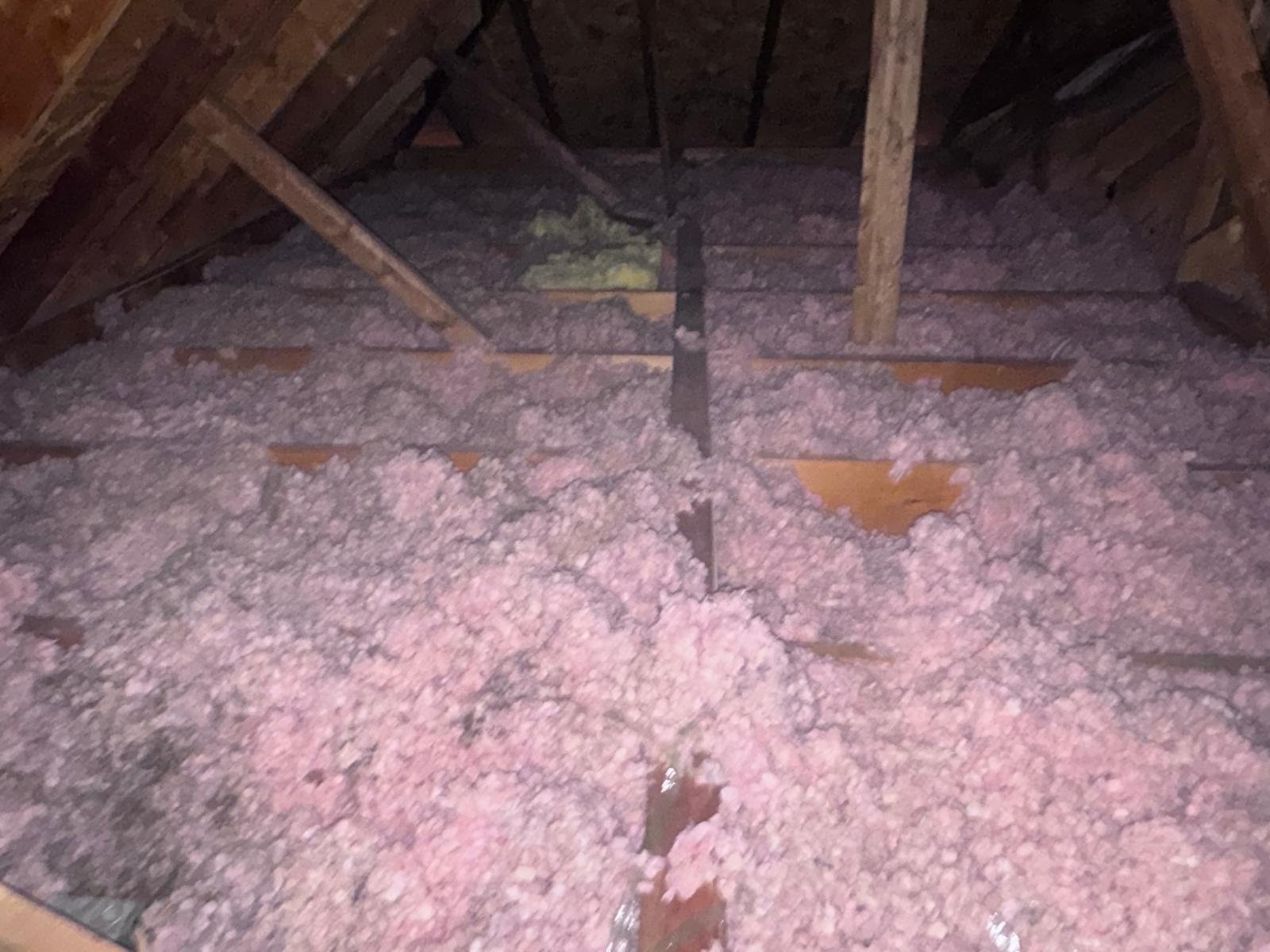 Insulation Removal project