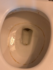 Toilet Mineral Stain Removal Project